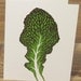 Indian Mustard Linocut Letterpress Blank Card