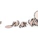 Bada bop bop bandits - Print - racoons - drummers - troublemakers - rhythm - party