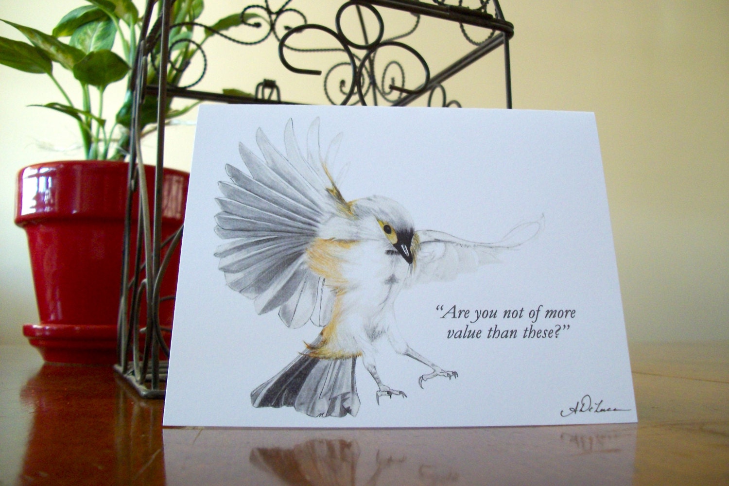 Look At The Birds 4x6 Notecards