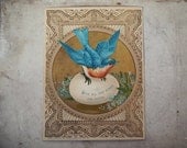Antique Easter Trading Card, Antique Ephemera, Spring Decor, Blue Bird and Egg, Spring Decor, Victorian, Chromo Lithograph
