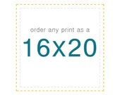 Any Image as a 16x20
