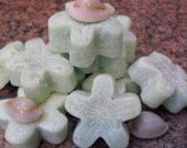 Set of 10 Green Witch - Luck & Money Drawing WAX MELTS- Money Scented, Loaded Chamomile and Basil