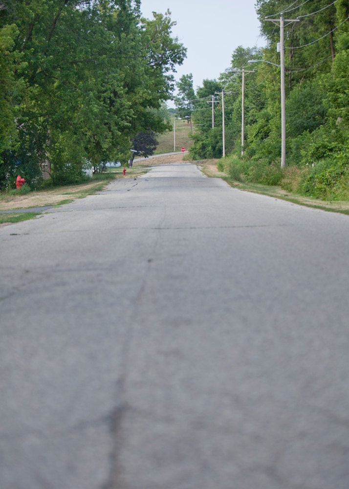 A Lone Country Road Landscape Nature Summer Spring Home Decor Photograph 5x7