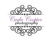 Premade Semi Custom Logo Design -- You choose your own colors to personalize and customize