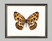 Butterfly - print on Fine art watercolor paper 8x10 inch.