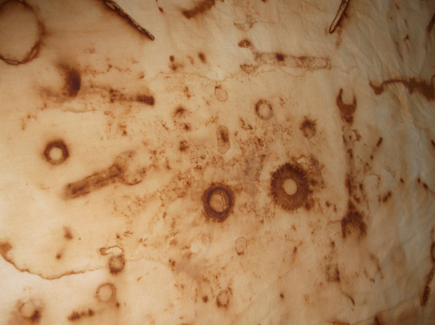 Rust Dyed Fabric OOAK
