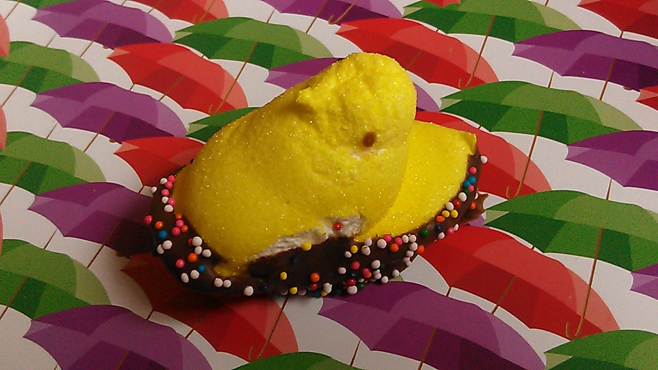 Easter peeps in a puddle or bunnies  marshmallow chocolate w pops - choice stick or not  sprinkles color brown white