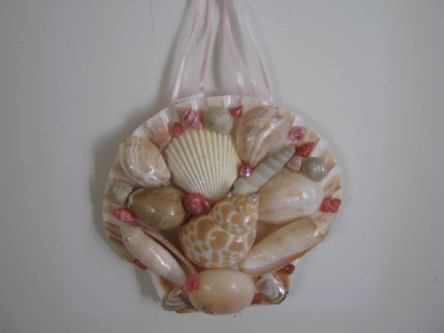 Sea Shell Wall Hanging Beige Pink Shell Art by ...
