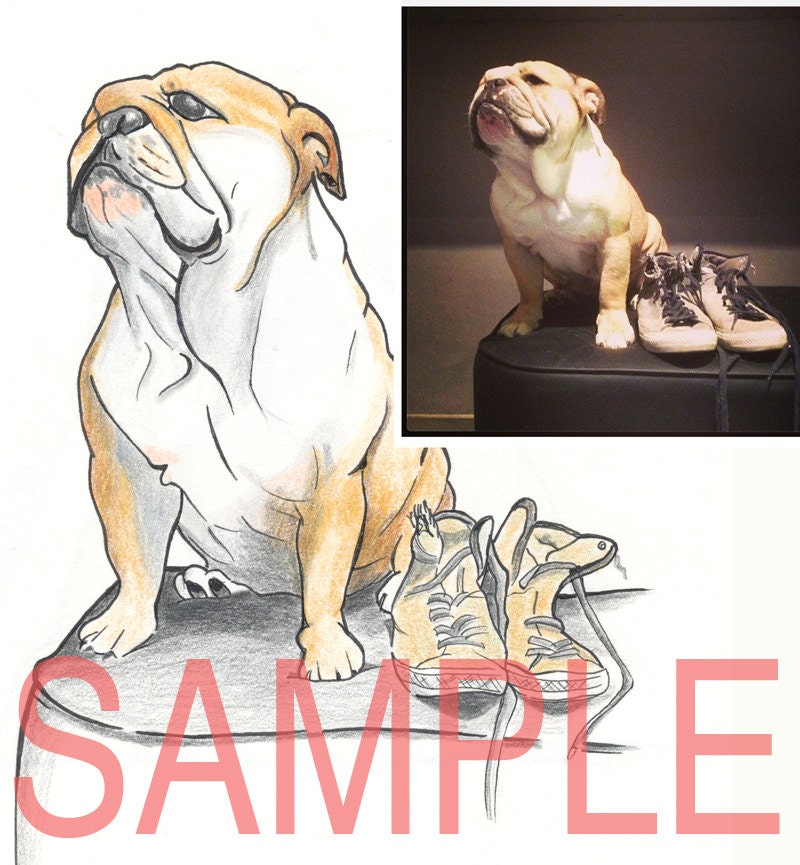 Custom drawn bulldog portraits and other pets