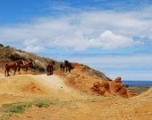 Wild Horses, Fine Art Print, 8x10, Landscape Photography, Horse Photography