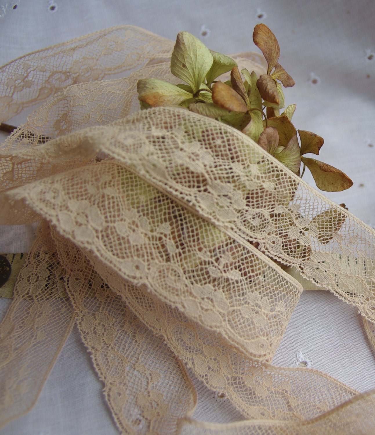 Antique Cotton lace Made in France. Soft latte shade. Floral. 4.4  metres/ 14 feet. - ButtonBroker