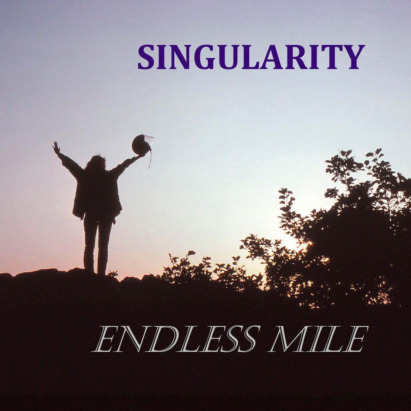 Singularity Music CD titled, "Endless Mile", First Release, Soft Rock, Folk, Singer-songwriter, Male soloist