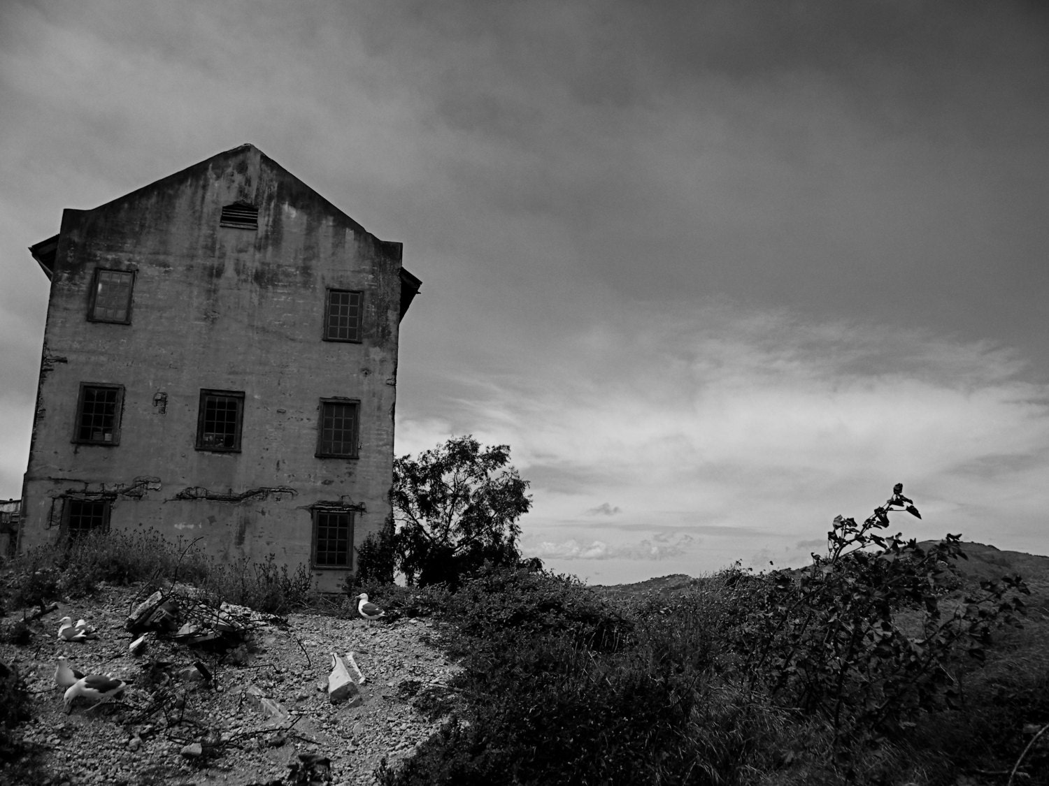 Alcatraz - Black & White Fine Art Photography - San Francisco, CA - Haunted Island Prison - Dark Black Grey Abandoned - 8x10 photo print