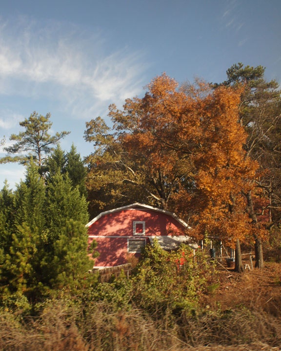 Red Barn in the Woods - 8x10. Fine Art Photographic Natural History Print. Minimal simple style.