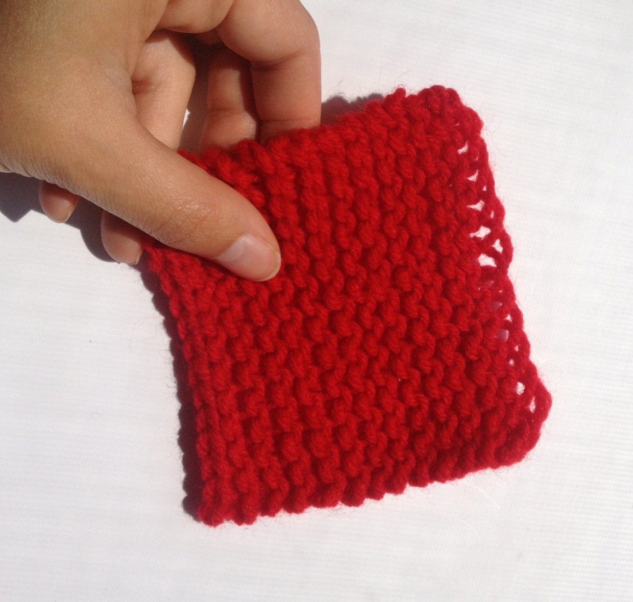 Red Dish Scrubbie