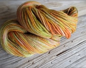 gia in punjab - organic merino wool watercolor glaze handpainted worsted yarn