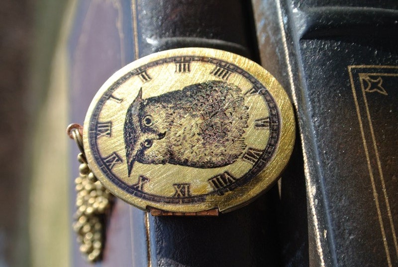 Brass Owl Locket