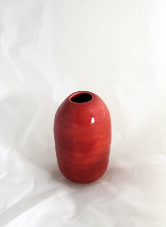 red seed vase - davistudio