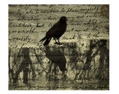 Gothic Crow, Crow Collage, Bird Reflection, Photo-Art, Vintage Art, Gothic - Reflection