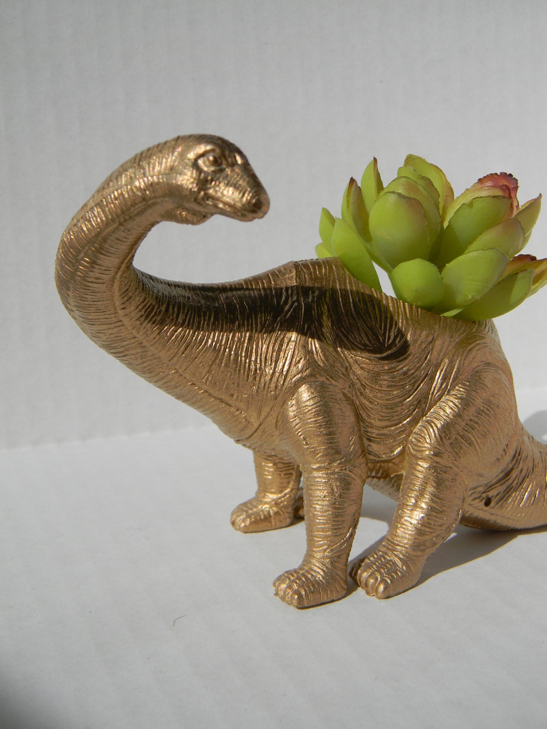Dinosaur Planter True Gold Great For Succulent Plants Get Well Soon Gift