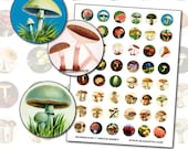 Antique Mushroom Toadstool 1 inch circle digital collage sheet 25mm round polka dot mushroom