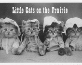 2 Vintage Domestic Kitten Postcards - Little Cats on the Prairie and Kitten Ironing