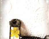 Buttercup Necklace,Yellow Flower Pendant, Soldered Glass Buttercup Pendant, Pressed Flower Jewelry, Yellow Buttercup Jewelry