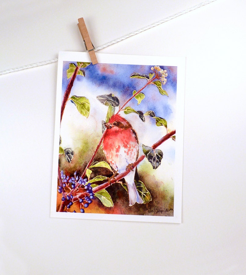 Bird Art - Watercolor Painting Print -  Purple Finch Painting, Animal Art, Nature Art - Men Women Kids Woodlands - 7.6 x 9.6 Under 25
