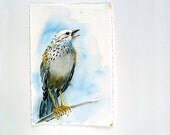 Bird Art ,Sparrow - Watercolor Painting Print - Nature Art, Animal Art, woodland Art - Home Decor Wall Decor - Men, Women - Blue - 7.6 x 9.6