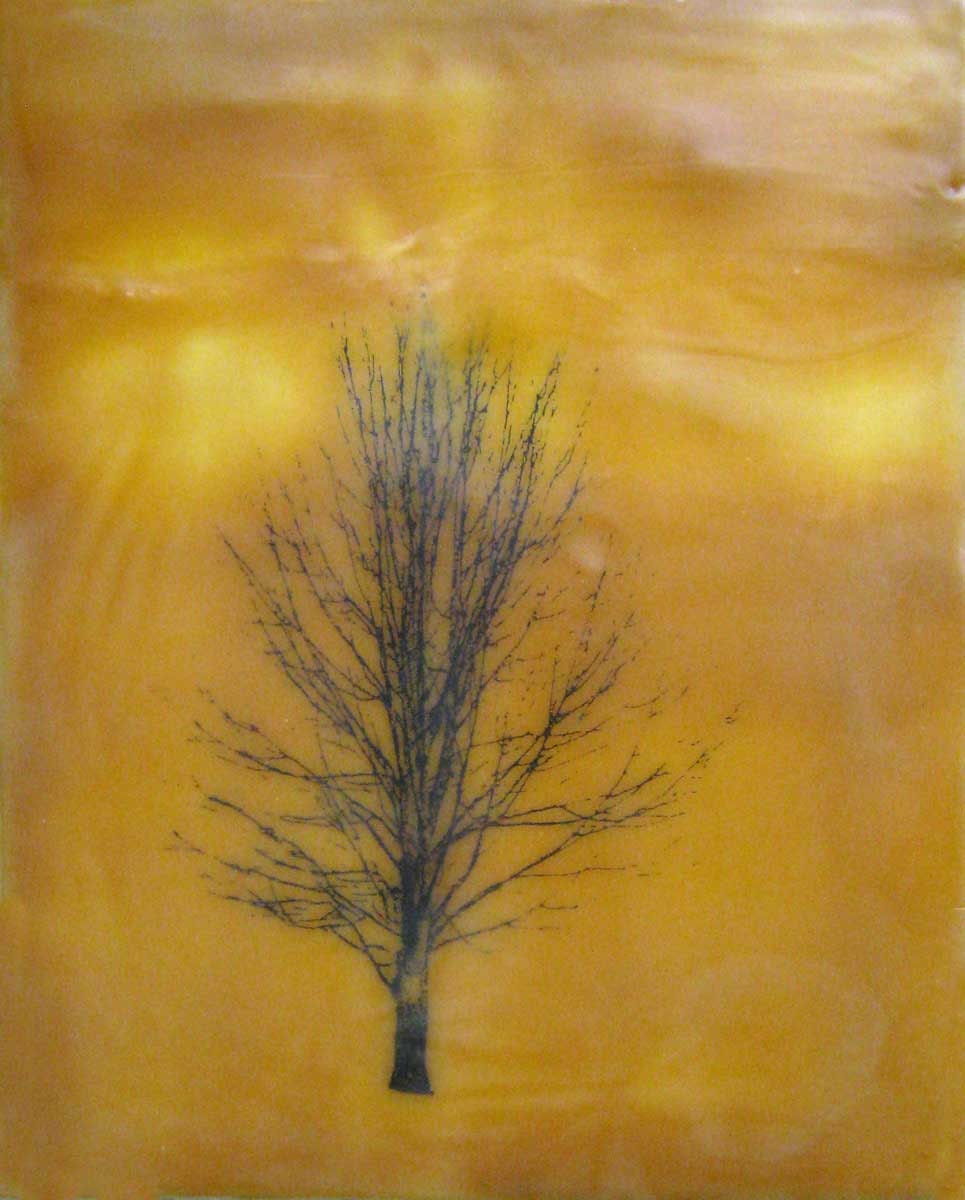 Beeswax Encaustic Art of a Tree in Sunset