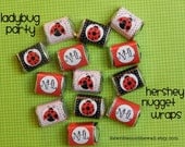 Personalize-Ladybug Nugget Wraps-Hershey Chocolates-For Birthday Party or Baby Shower 18 Wraps 6 of Each Design