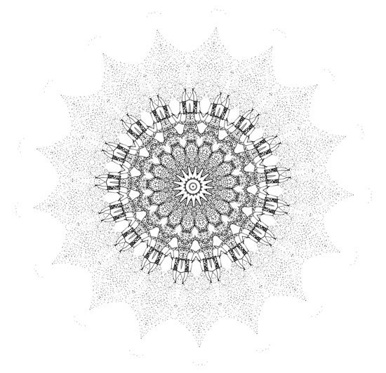Leo Sun - black and white mandala unique art print fine art designs giclee art karma mandala