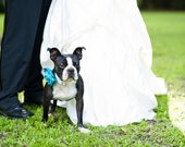 Romantic Satin Dog Collar Flower - Dog Wedding Accessory
