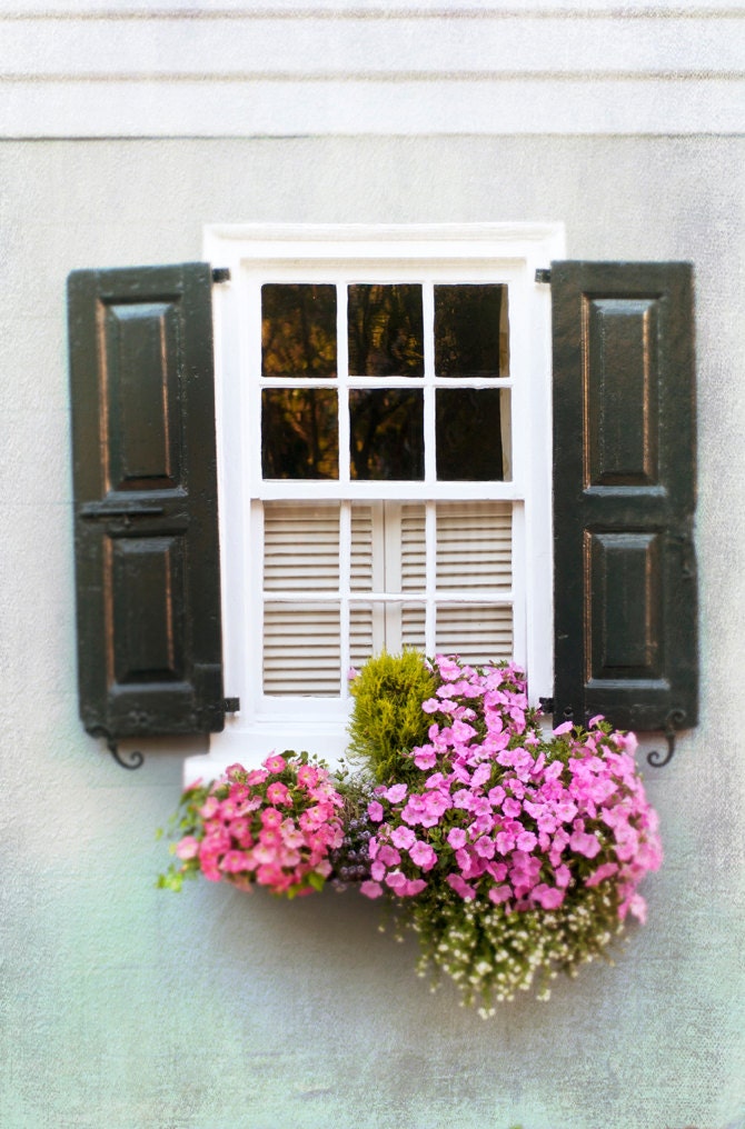 Flower Photography -  Window Box in Charleston, Pink Floral Photograph, Romantic Wall Decor