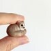 Baby Mouse Lemur- The Totem Nursery