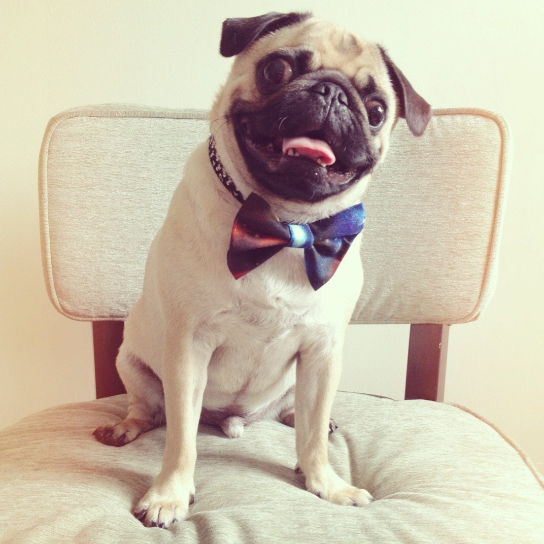 Galaxy Dog Collar / Cat Collar Bow Tie Pin