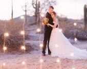 Tulle Skirt and Alencon Lace Sweetheart Neckline Wedding Dress with Low Back
