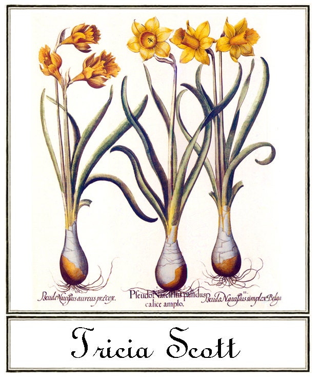 Daffodils Have Always Brought a Smile Bookplates Personalized or Blank