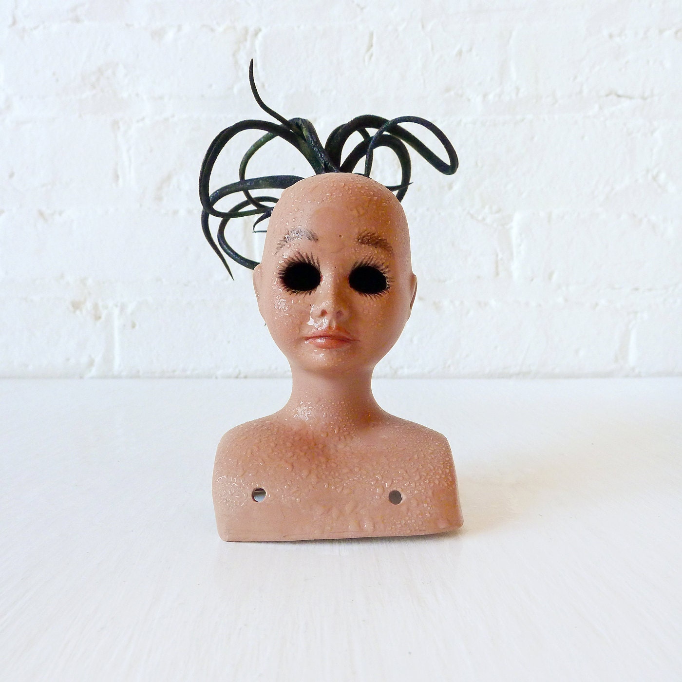 Baby Girl Hair is Cray - Air Plant Garden -The Colors that Creep in Your Garden Collection