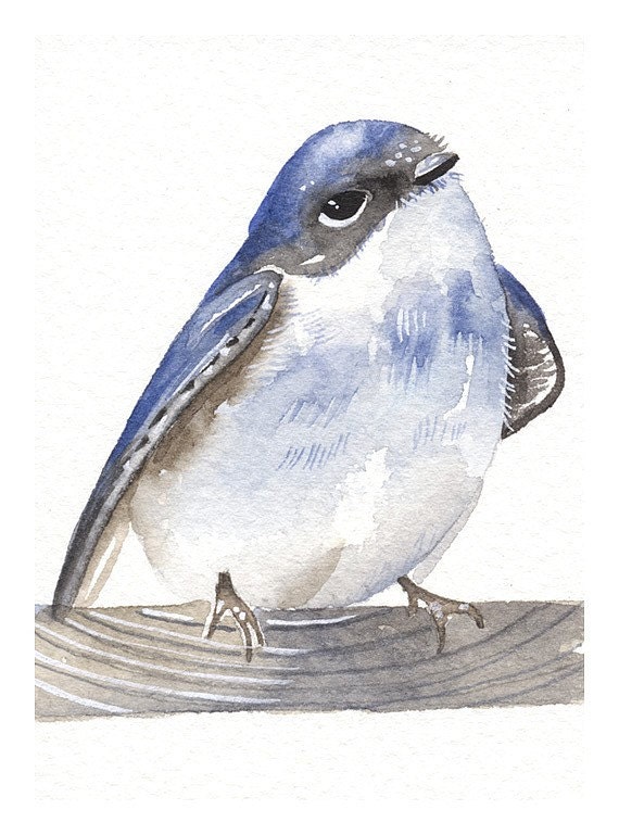 Aceo Miniature Watercolor Original Painting Art Bird - Swallow - by Lorisworld