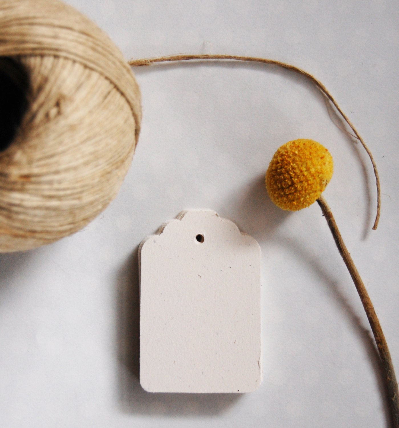 White blank tags