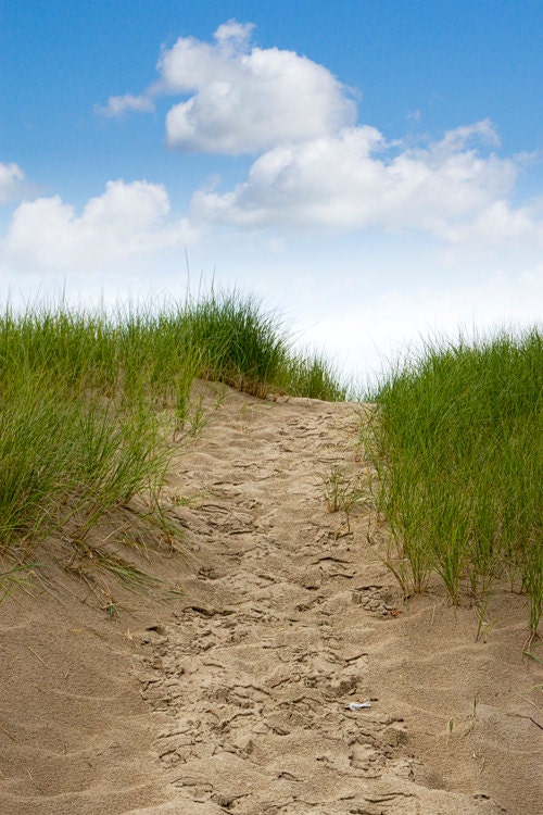 Trail up the Dune and to the Beach - a Fine Art Beach Photograph No. 016