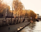 Paris Photography - Travel Photograph - Sunlight Morning Trees - River Seine - Alone - Wall Art - Home Decor - French Print