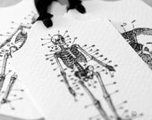 The Human Body II (set of 6 tags)