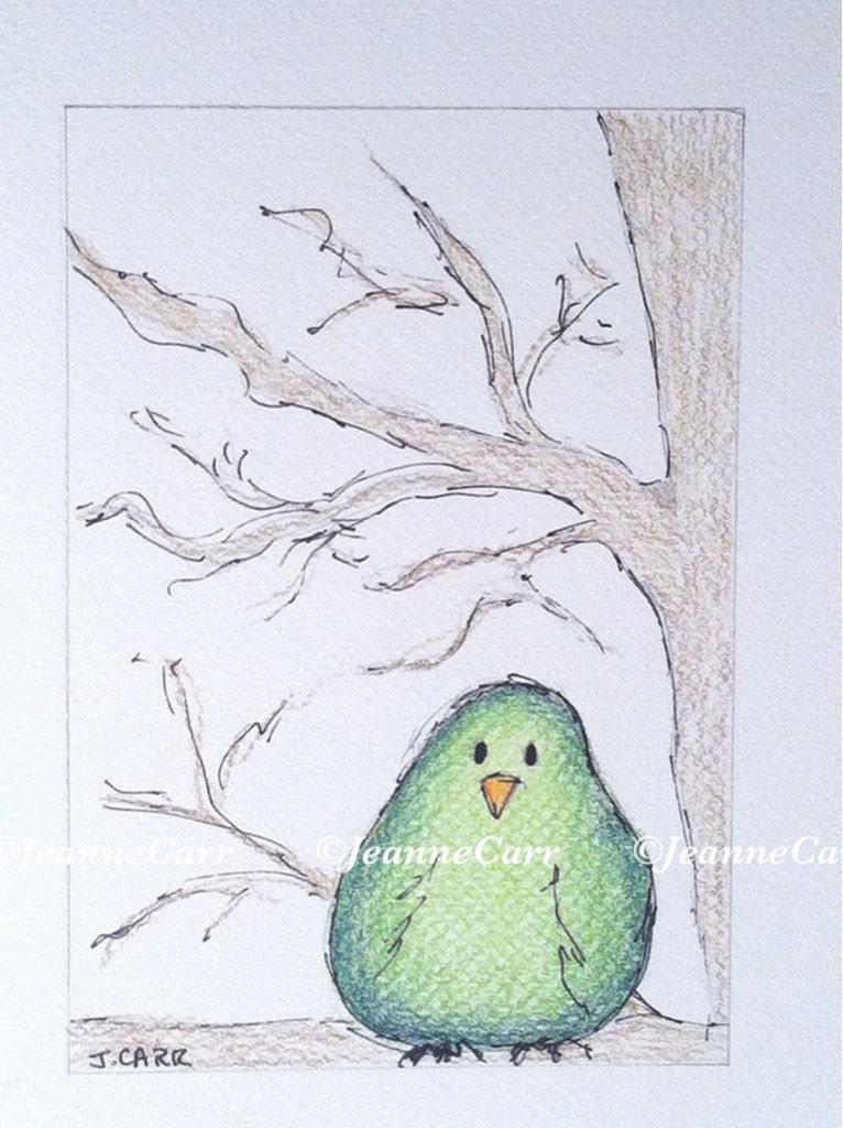 Plump Green Bird Original Drawing