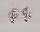 Tibia Seashell Earrings in Fine Silver Handmade