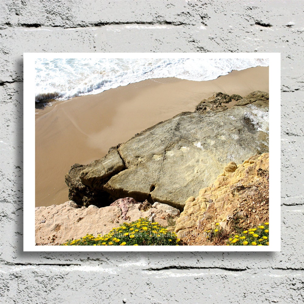Fossil Photography, Selema Portugal, Algarve Coast, Dinosaur Footprints, Jurassic Era Sandstone, 8x10 Fine Art Home Decor