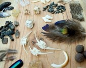 Curiosity Collection Grab Bag - Over 20 Pieces