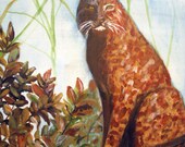 Original wildlife, acrylic painting, North American Bobcat, 16 x 20 stretched canvas, modern art