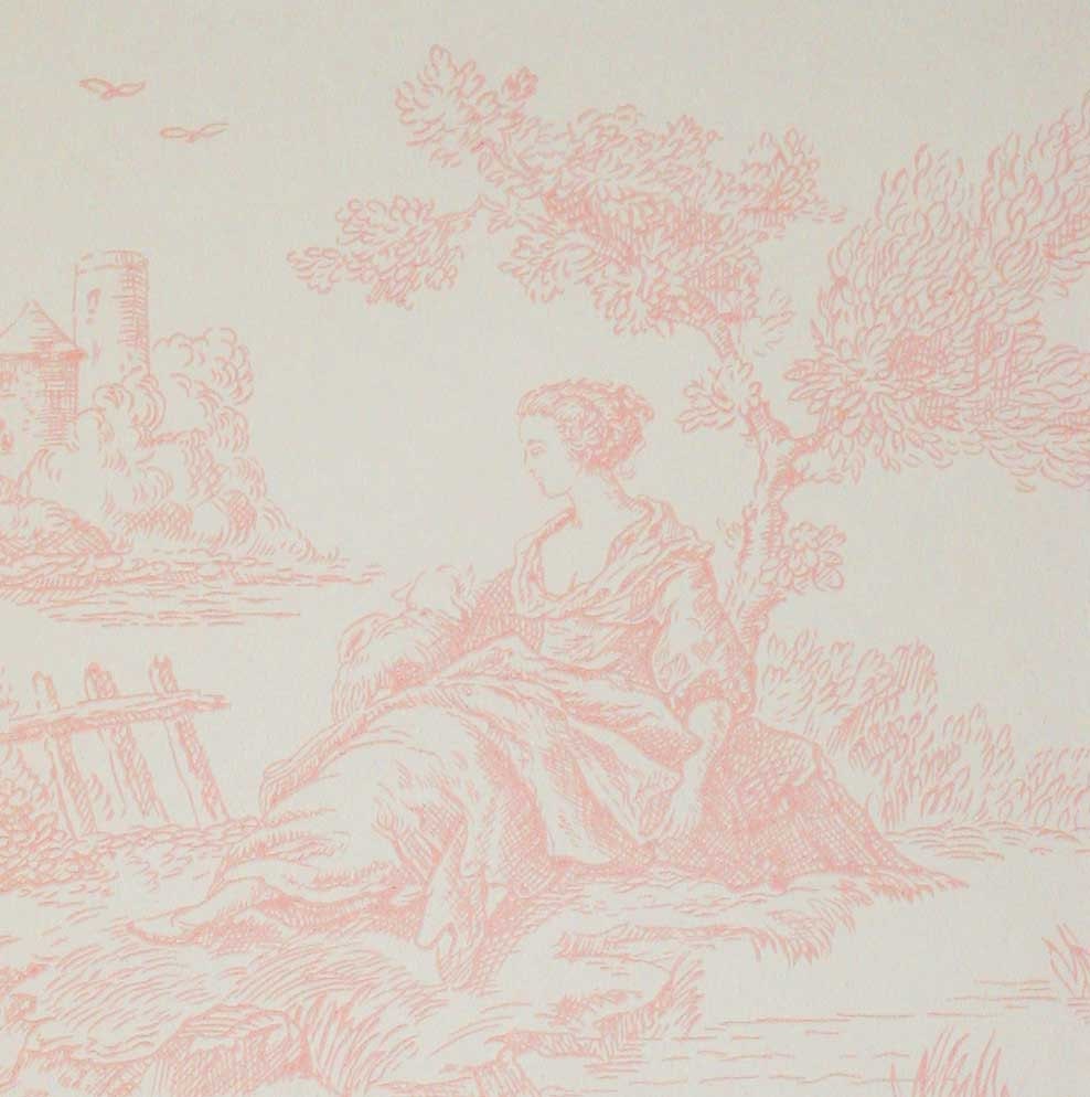 Baer & Ingram Pale Pink "Summertime Toile" Wallpaper From England - Discontinued, Rare - 6 Double Rolls